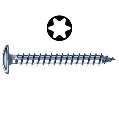 Vis penture inox A2 - Torx® - tête demi-ronde ø 7 x L. 40mm - vendu par 200