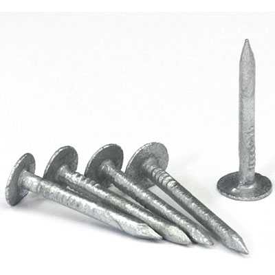 Pointes acier galvanisé à tête plate extra large ø  17mm x L.35mm- boîte de 1kg