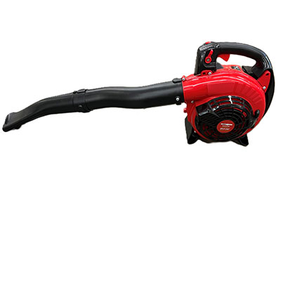 Souffleur thermique 750 W