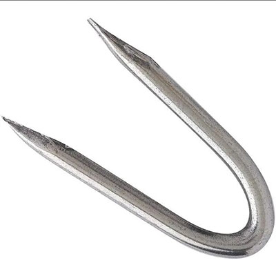 Crampillons zingué ø 3 x L. 30mm - boîte de 1kg